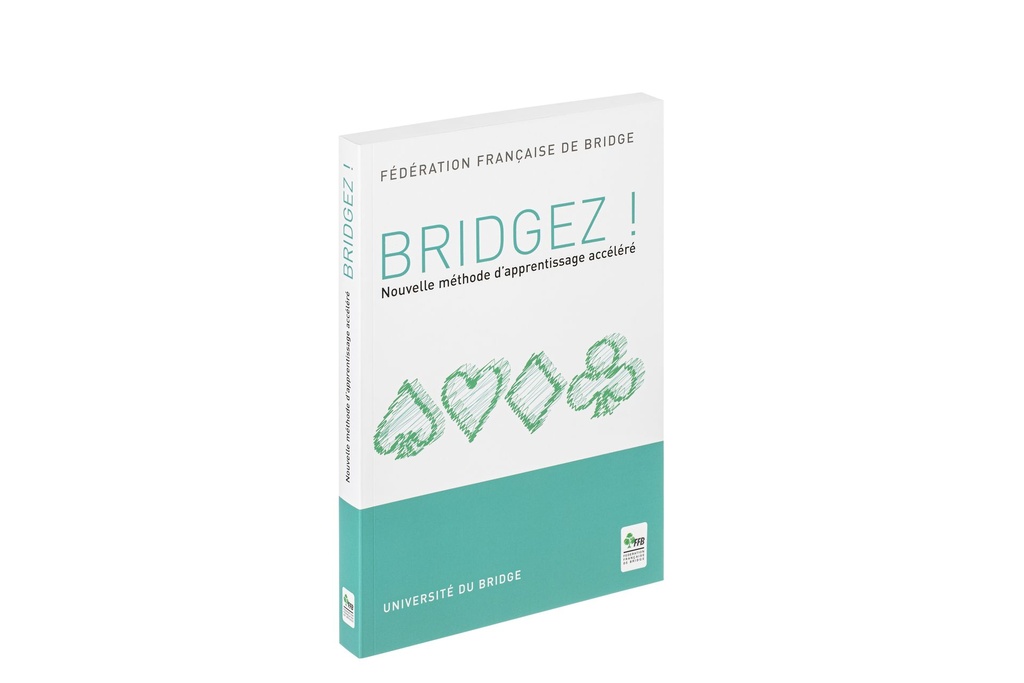 Bridgez-1.jpg